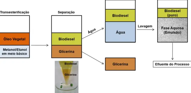 Figura 1.3. Esquema representando o processo produtivo de biodiesel e a geração de  efluente na forma de emulsão, durante a etapa de lavagem