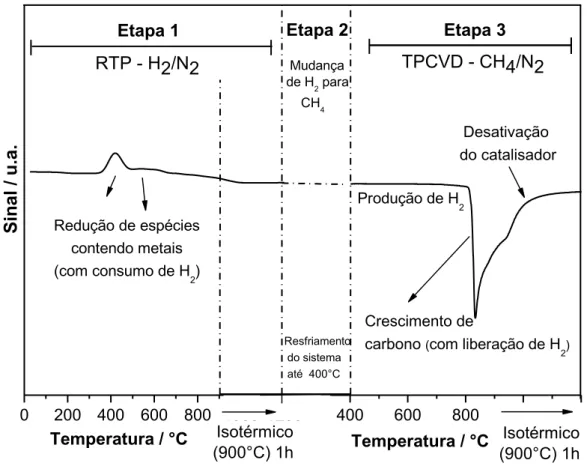 Figura 3.1. Perfil de RTP (Etapa 1), seguido do resfriamento dos sistemas (Etapa 2) e  da produção de carbono por TPCVD (Etapa 3)