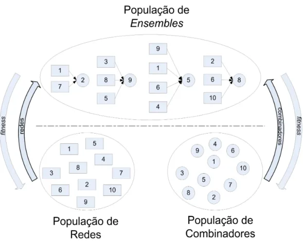 Figura 3.6: Arquitetura COHENN apresentada por Coelho (2004).