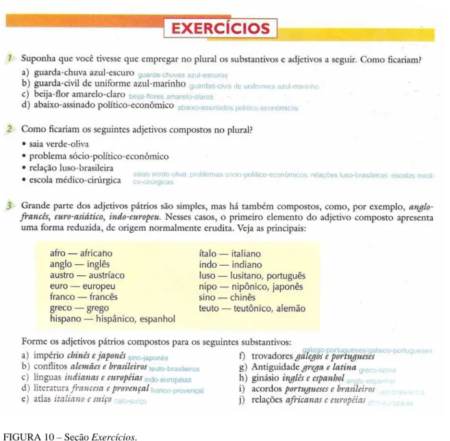 FIGURA 10 – Seção Exercícios. 