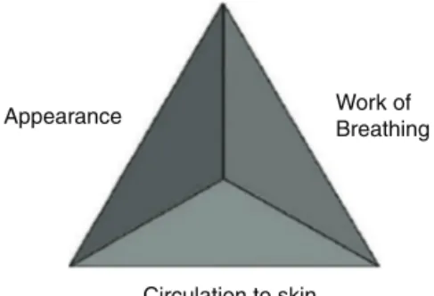 Figure 1 Pediatric Assessment Triangle.