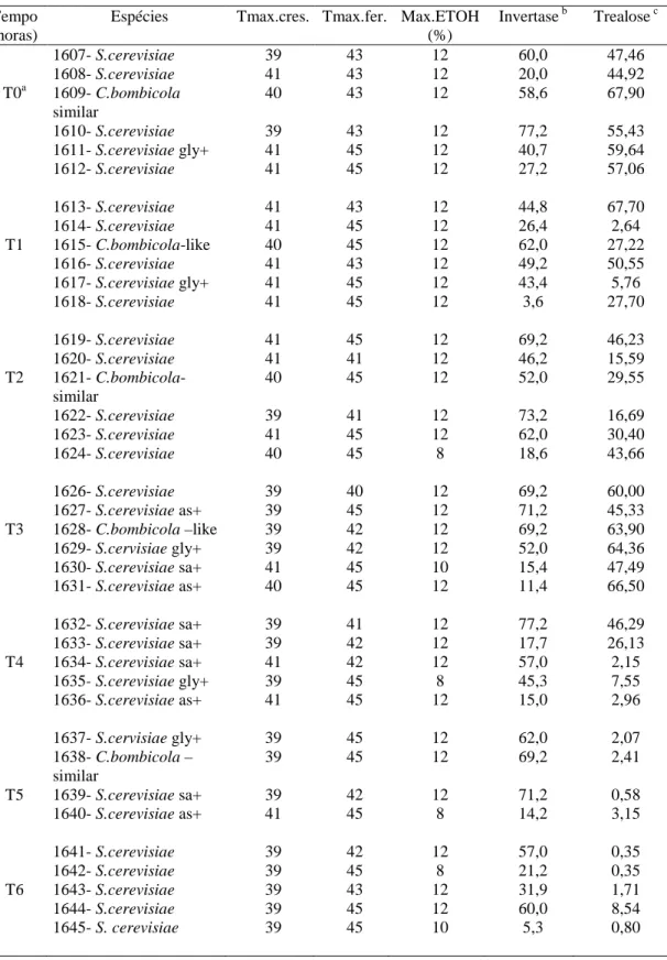 Tabela 2- Caracterização fisiológica das leveduras isoladas durante o ciclo fermentativo 