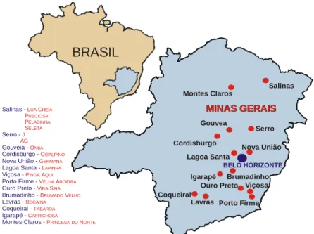 FIGURA 1: LOCALIZAÇÃO DOS PONTOS DE COLETA DE AMOSTRAS DE MOSTO DE  CACHAÇA NO ESTADO DE MINAS GERAIS.