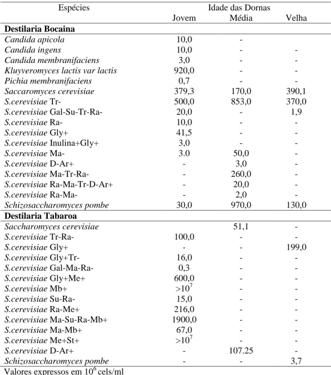 Tabela 1- Frequência de ocorrência de espécies de leveduras  nas Destilarias da 