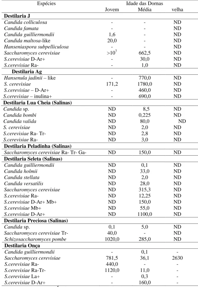 Tabela 3. Frequência de ocorrência de espécies de leveduras  nas destilarias da 