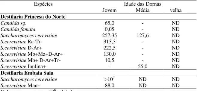 Tabela  4.-  Frequência  de  ocorrência  de  espécies  de  leveduras  nas  Destilarias 