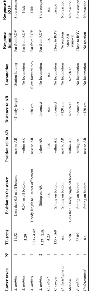 Table 1. Fish number, size and behavior: position in the water and relation to the artificial reef; *Callanthias ruber position is not indicated once it was not identifiable at distance