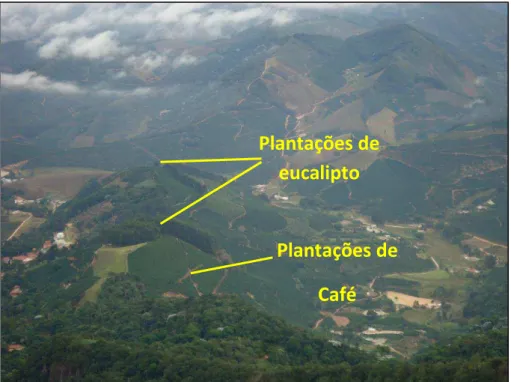 FIGURA 11: Vista do Mirante do PARNA Caparaó MG (1.500m): observam-se plantações de café  nas  colinas  do  município  de  Alto  Caparaó