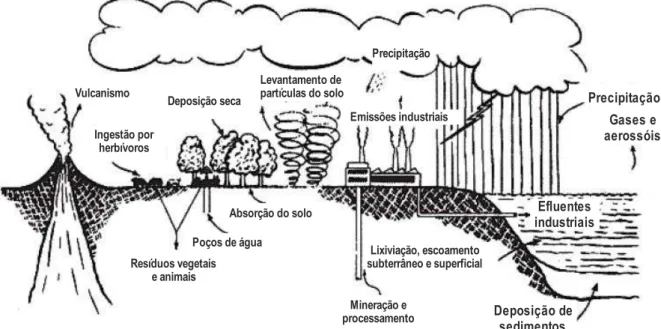 Figura 10: Modelo esquemático de formas de contaminação de flúor. 