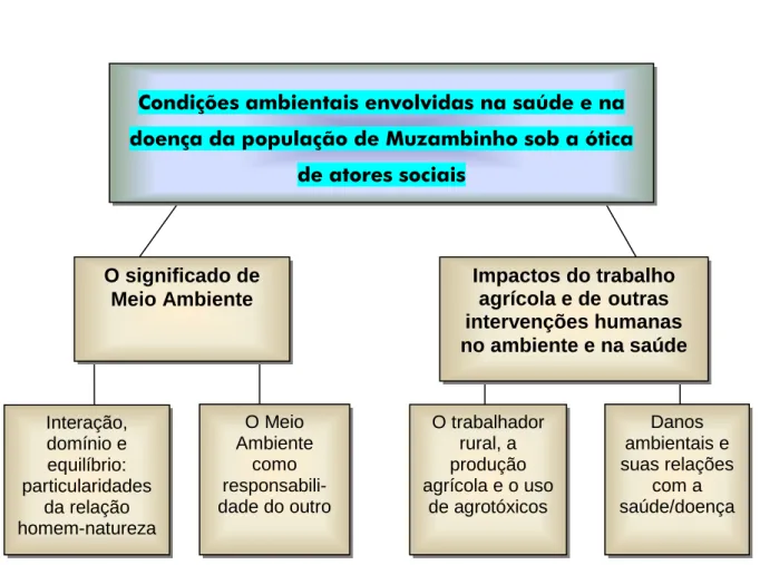 FIGURA 5 - Síntese da temática relativa às condições ambientais envolvidas na saúde  e na doença da população de Muzambinho - Minas Gerais, 2009