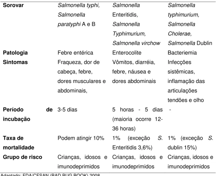 Tabela 6 - Principais características da infecção por Salmonella spp. 