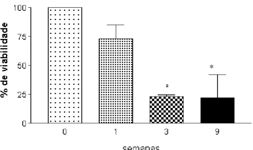 GRÁFICO 1-  Metabolização do MTT durante o cultivo em monocamada de CTMs  na presença de meio condrogênico