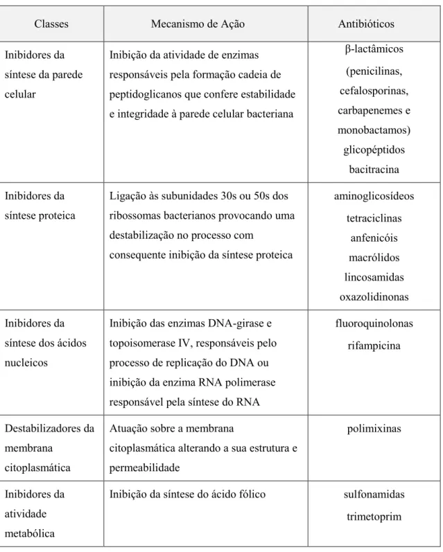 Tabela 5 – Classificação de antibióticos 