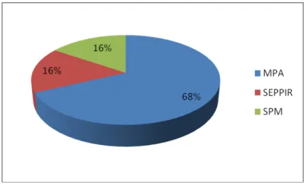 Gráfico 11: Proporção do orçamento total repassado para o MPA, SEPPIR e SPM  em 2006 