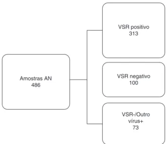 Figura 1 Fluxograma de trabalho. As amostras de aspirado de nasofaringe foram divididas em três grupos diferentes  exa-minados pelo ensaio de imunofluorescência e comparadas com o teste rápido de detecc ¸ão de antígenos para o vírus sincicial respiratório