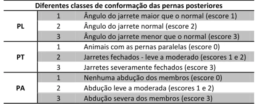 Tabela  4  – Distribuição das classes de conformação das pernas utilizadas para realização do 