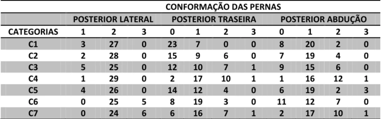 Tabela 7 - Distribuição dos escores de avaliação de conformação das pernas posteriores visão 