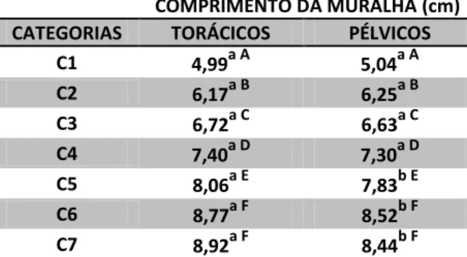 Tabela  14  -  Comparação  das  médias  de  comprimento  da  muralha  dos  cascos  entre  os 