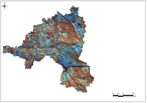 FIGURA 3 – Mosaico das imagens Ikonos da área de estudo – composição 5R-4G-3B 