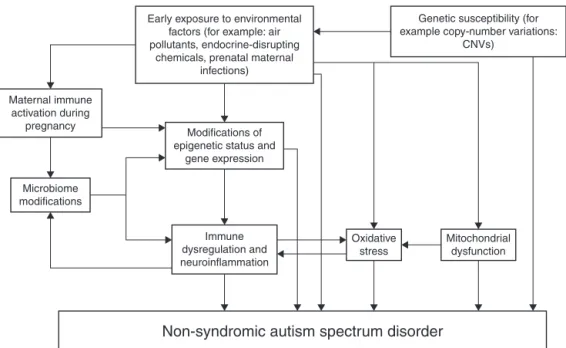Figure 1 Etiopathogenesis of non-syndromic autism spectrum disorder. Note: It summarizes various possible interactions among genetic and environmental factors involved in the etiopathogenesis of non-syndromic autism spectrum disorder