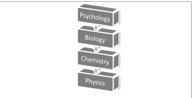 Figure 1.1. Levels of Analysis concerning human behavior 