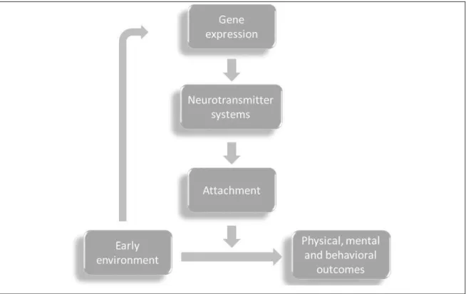 Figure 1.2. Initial hypothesis                                                             