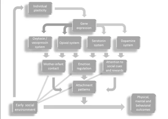 Figure 1.8. Hypothesis refining 