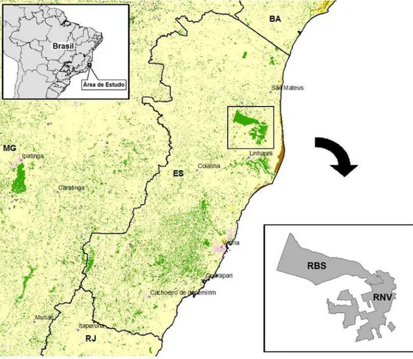 Figura 1:  Localização da Reserva Natural Vale (RNV) no estado do Espírito Santo e  no bioma Mata Atlântica (área pontilhada) [quadro superior em detalhe]