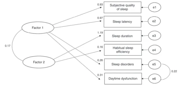 Figure 2 Best model resulting from the confirmatory factor analysis of the PSQI, consisting of two factors after excluding the component on sleep medication use