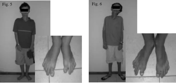 Fig. 6  Fig. 5 