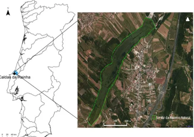 Figura 5: Localização da Reserva Natural Local do Paul de Tornada no mapa de Portugal