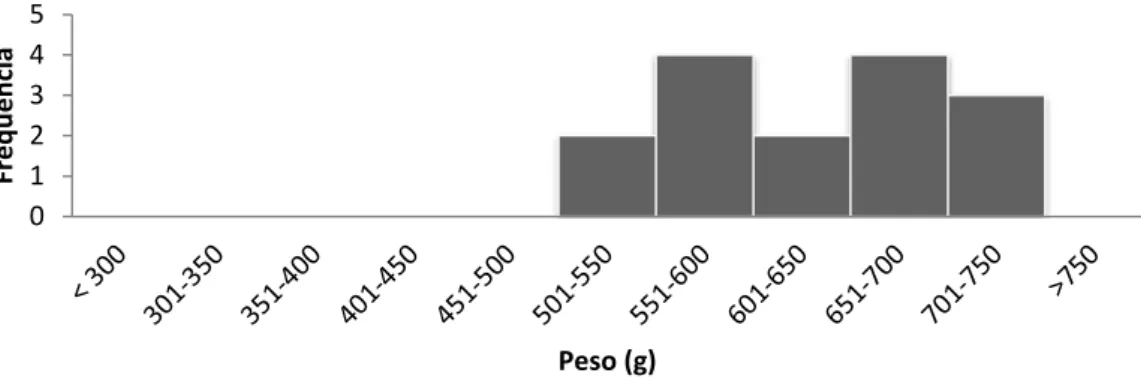 Figura 14: Frequência do peso (g) dos machos da amostra da população. 