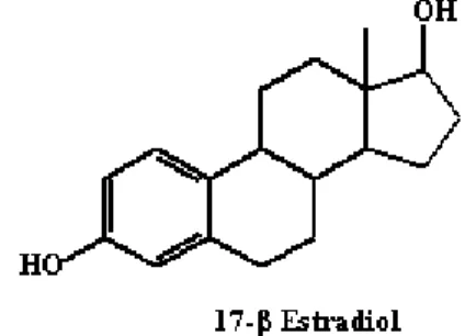 Figura 9. Estrutura química do 17-β-estradiol. Fonte: GARCIA-SOLIS; ACEVES, 2005. 