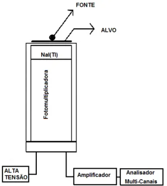 Fig. 2.14. Aparato experimental para medidas de fluorescência de raios X mostrando a  fonte radioativa, o alvo, a fotomultiplicadora, o cristal NaI(Tl), e o sistema eletrônico 