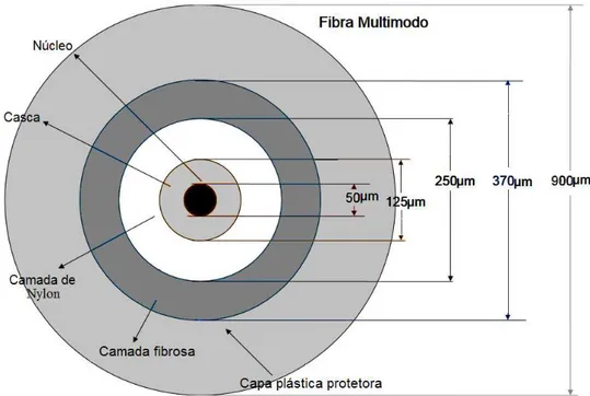 Fig. 2.19. Estrutura interna e dimensões típicas de uma fibra óptica. Adaptado de [45].