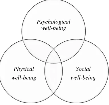 Figura 4. Componentes do bem-estar. 