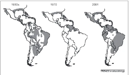 Figura  5  Distribuição  do  Aedes  aegypti  nas  Américas  em:  1930,  1970  e  2001