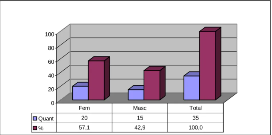 Gráfico 1: distribuição dos alunos por sexo. 