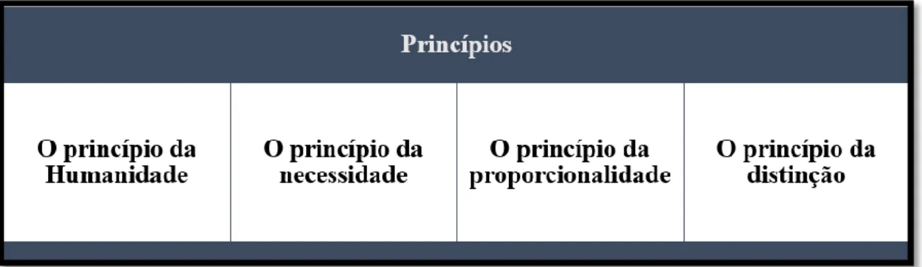 Figura 4 – Princípios de direito que consubstanciam o DCA. 