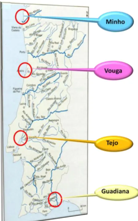 Figura  5  -  Mapa  dos  rios  de  Portugal  onde  estão  representados  os  locais  de  captura  dos  animais  utilizados