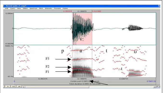 FIGURA 7 - Oscilograma e espectrograma da palavra [ pat], participante 5 do grupo controle  (“printscreen”)