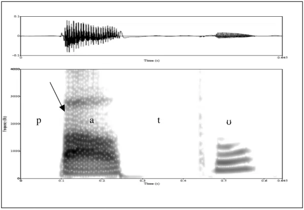 FIGURA 8 - Oscilograma e espectrograma da palavra [ pat], participante 5 do grupo controle  (“pdf”) 