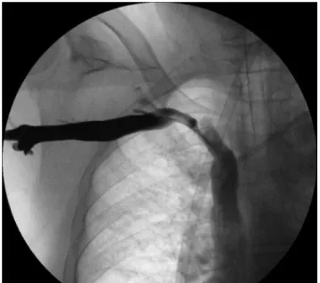 Figure 3. Final image.