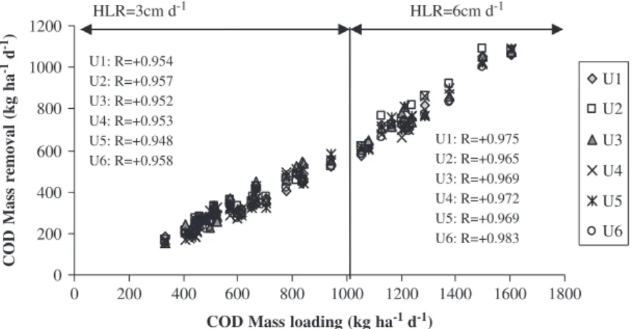 Fig. 3 – COD loading vs. COD removal. Unit 1: Canna indica, Unit 2: Typha latifolia, Unit 3: Phragmites australis, Unit 4: