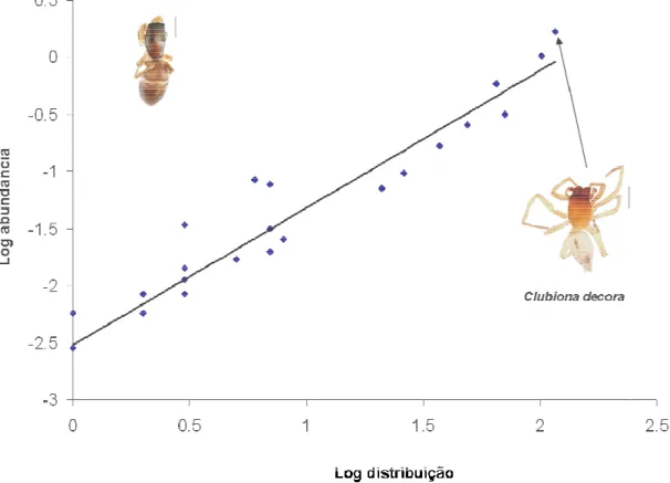 Figura 3. Relação interespecífica positiva entre abundância e distribuição para as espécies de aranhas