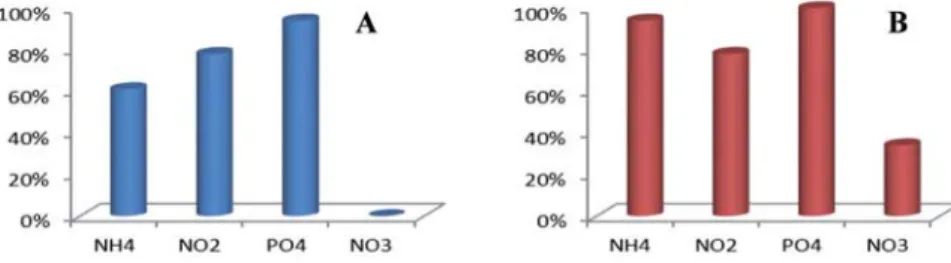 Figure 1.- Nutrient removal ( %) in microcosms planted with T. latifolia and irrigated with  aquaculture efÀ  uents from a simulated fresh water system (A: NO 3  not determined) and a  saline aquaculture system (B: 2.4% salinity).