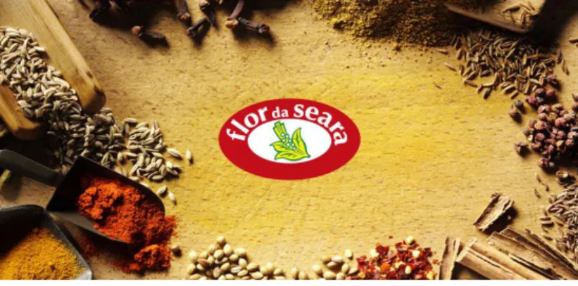 Figura 1 - Logotipo da marca flor da seara. 