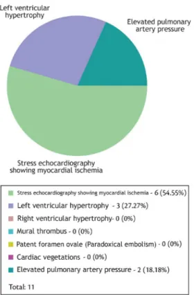 Figure 7. Abnormal echocardiography results.