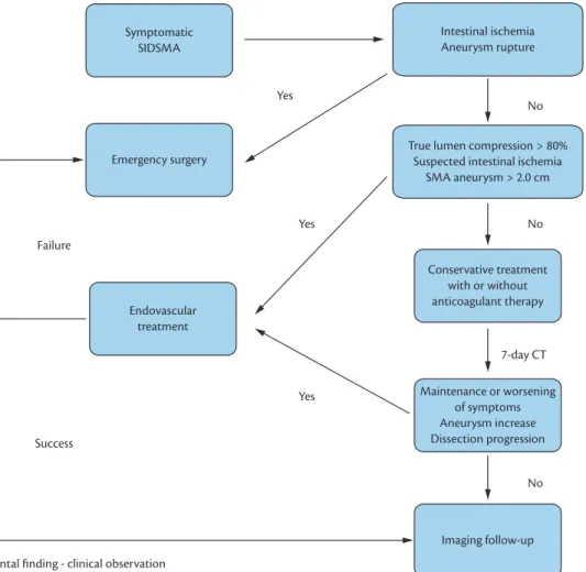 Figure 3. Algorithm proposed by the authors for the treatment of SIDSMA, based on the recommendations of Min et al