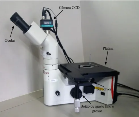 Figura 15 - Microscópio ótico invertido com a câmara acoplada. 